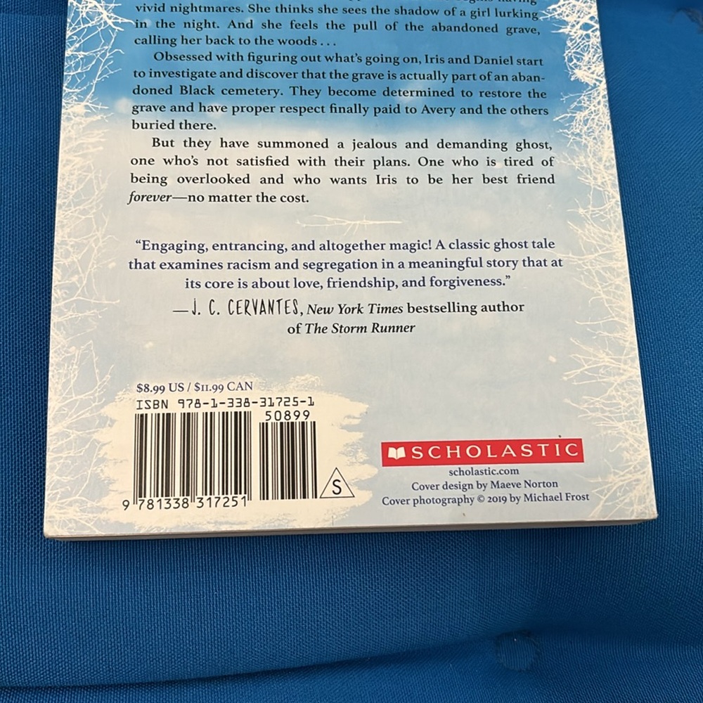 The Forgotten Girl By India Hill Brown Soft Cover Supernatural Ghost Story NWOTS - Picture 7 of 10